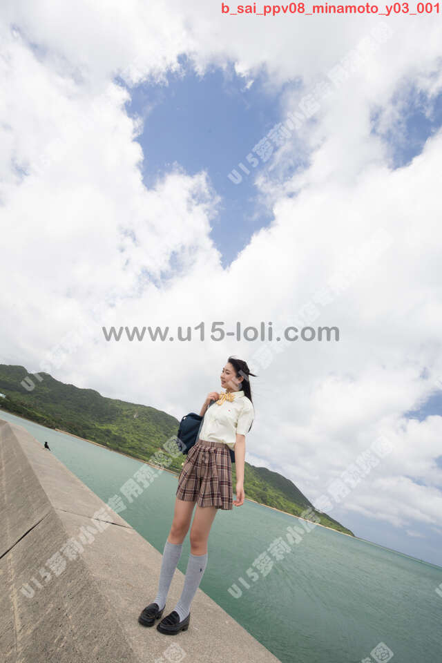 b_sai_ppv08_minamoto_y03��68P��