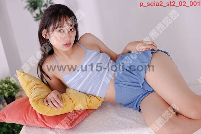 p_seia2_st2_02��40P��