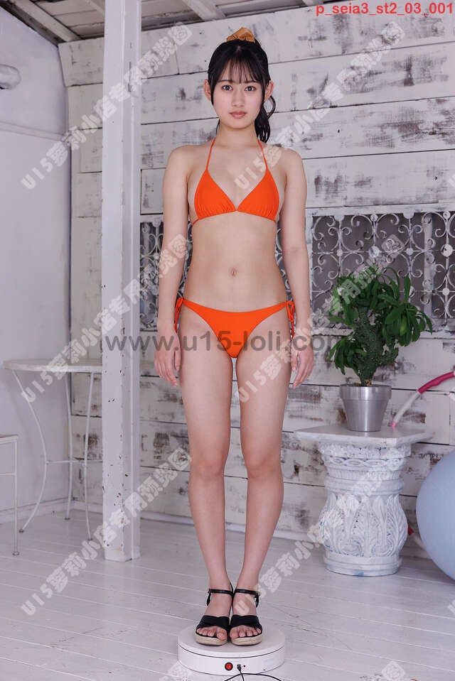 p_seia3_st2_03��60P��