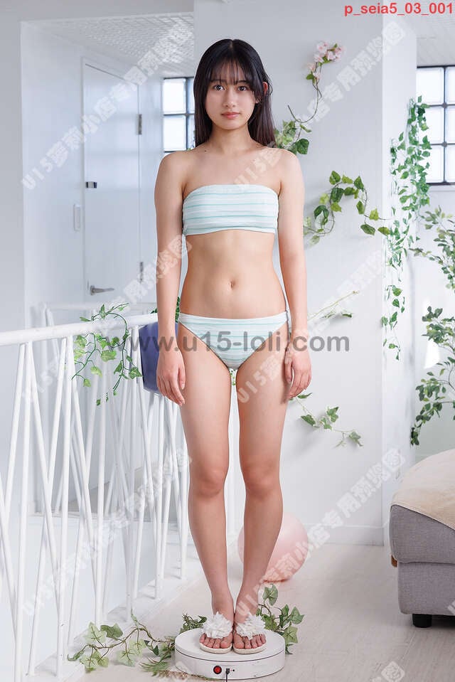 p_seia5_03��30P��