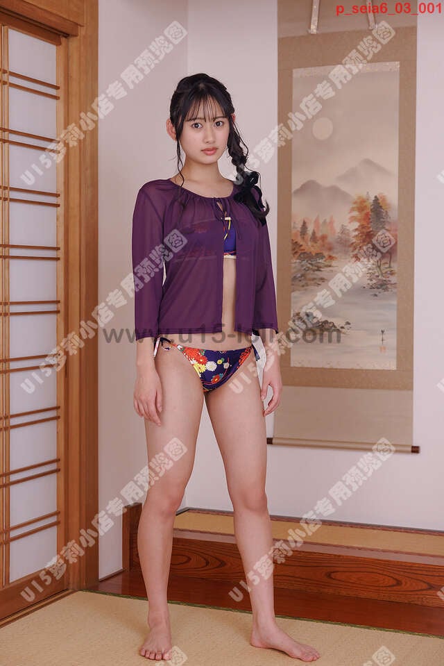 p_seia6_03��34P��