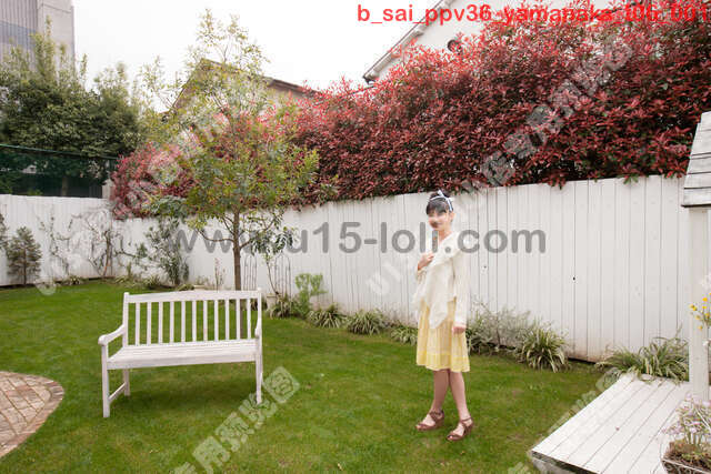 b_sai_ppv36_yamanaka_t06��60P��