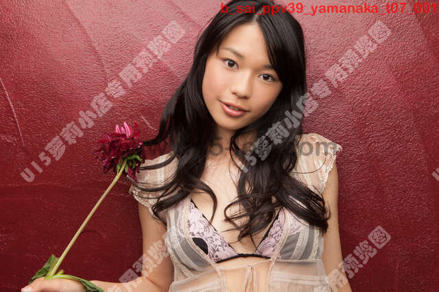 b_sai_ppv39_yamanaka_t07��65P��