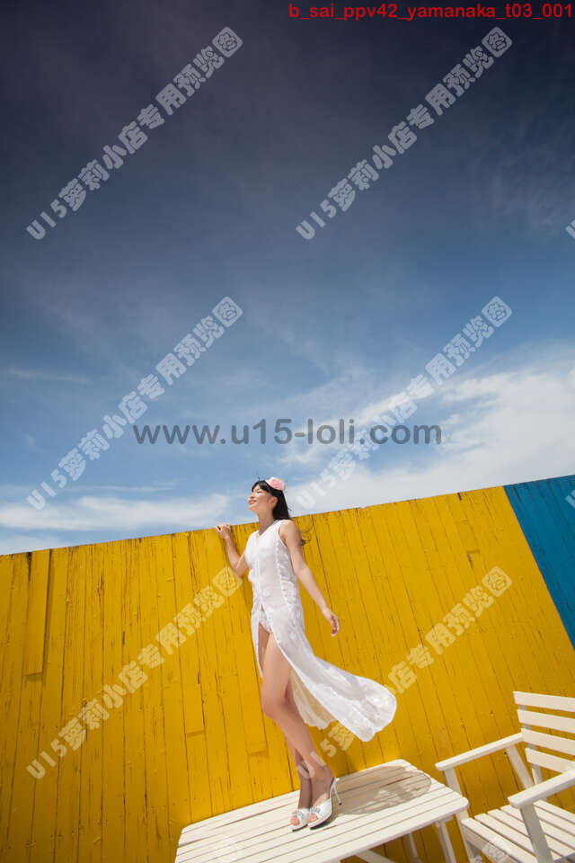 b_sai_ppv42_yamanaka_t03��60P��