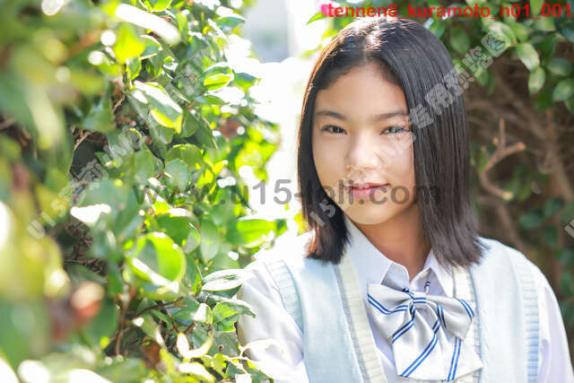 tennen8_kuramoto_n01��25P��