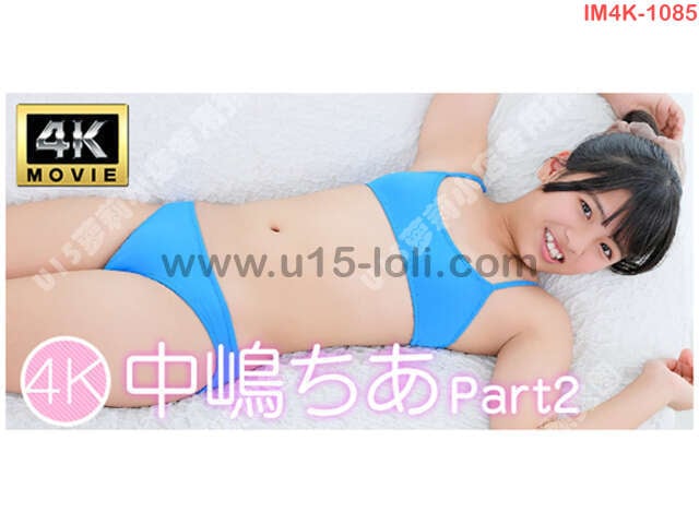 [IM4K-1085] 4K�ӻ� �Ѝ����Part2