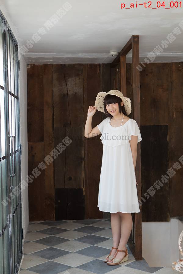 p_ai-t2_04��71P��